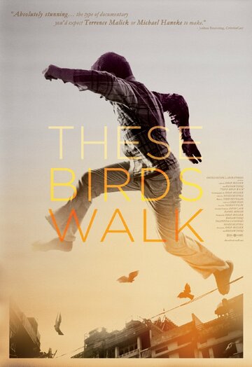 These Birds Walk (2013)