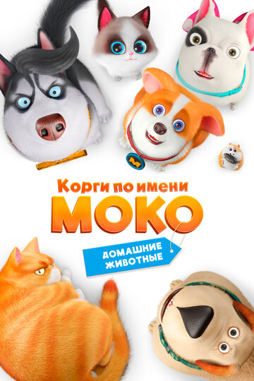 Корги по имени Моко. Домашние животные (2019)